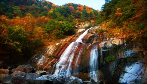 新闻 成都新闻 光雾山旅游景区燕子岭绝壁下有一巨大溶洞,数万只燕子