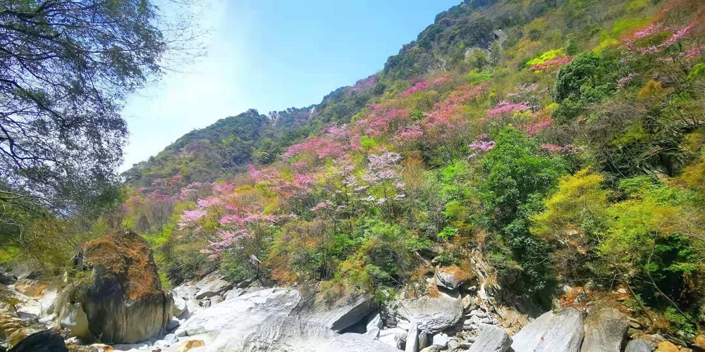 新闻 要闻快递  地处广元青川的唐家河国家级自然保护区,拥有目前发现